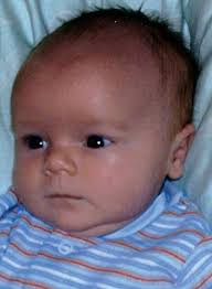 Gavin Bradley Golden