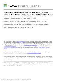 Image result for Warneckea bequaertii