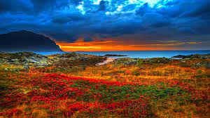 Only the best nature wallpapers. Natural Beauty Of Nature Wallpapers Hd Wallpaper Cave