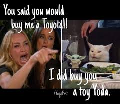 Pin By Beau On Baby Yoda In 2020 Karen Memes Humor Funny Cat Memes