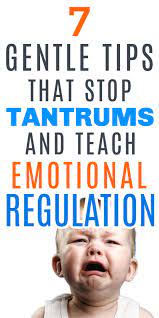 Toddler Tantrums How To Deal With Tantrums In 2 Year Olds Temper Tantrums Toddler Kids Coping Skills Tantrums Toddler