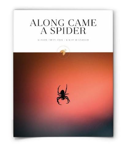 Firefly Nature School - Along Came a Spider