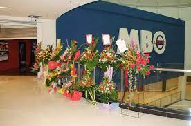 Maxx, gsc onyx, gsc play+ 09.01.2021 · viva mbo cinema showtime; Mbo Viva Home News Features Cinema Online