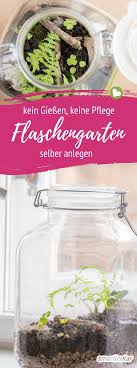 Ewiger Minigarten Im Glas So Gelingt Das Biotop Fur Den Schreibtisch Flaschengarten Mini Garten Pflanzen