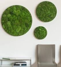 Kugelmoosbild Rund Im Greenbop Online Shop Kaufen Moosbilder Mooswand Moos Dekor