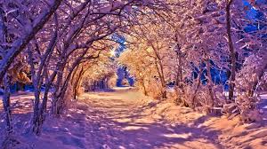 Hd wallpapers and background images. Nature Winter Landscape Wallpapers Hd Desktop And Mobile Backgrounds