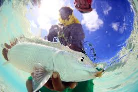 A slightly composed capture during a discussion