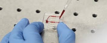 Examples of tumor markers include: For The First Time A Blood Test Can Tell If Cancer Treatment Is Working Right Away