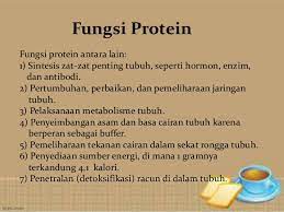 Ada beragam fungsi protein bagi tubuh, mulai dari sumber energi¸ membentuk berbagai enzim dan hormon, hingga mendukung sistem kekebalan tubuh. Bahan Ajar Makanan Zat Makanan Dan Gizi