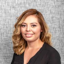 About THE INTERIOR DESIGN GROUP LTD. in Lisle, IL