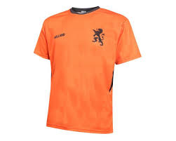 Goedkope frankrijk voetbalshirt kopen online. Nederlands Elftal Voetbaltenue Thuis Eigen Naam Oranje Kids Senior Ek 2021 Voetbalshirtskoning Nl