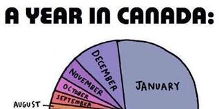 A Year In Canada Pie Chart Memes Percentage Calculator