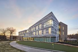 Image result for Erlangea