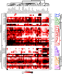 Anatomical Profiling of Nuclear Receptor Expression Reveals a Hierarchical  Transcriptional Network