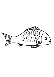 Download Coloring Pages Free Printable Fish Coloring Pages