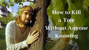 The goal is to get rid of the saplings' root systems. How To Kill A Tree Without Anyone Knowing How To Kill A Tree Journey To Sustainability Youtube