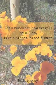 The Earth Is A Flower Nisi Poesy Earth Haiku Poetry Mother Nature