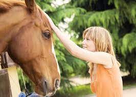 How Do Horses Help People Petplan Blog