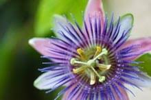 Globuli innere unruhe schlafstörungen allgemeine unruhe und ängstlichkeit, schlafstörungen. Homoopathie Bei Stress Ratgeber Stress Innere Unruhe