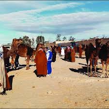Camel milk, consumed around the world, may offer help for diabetes, allergies, autoimmune disease and even autism according to research. Pdf Camel Meat Marketing And Camel Meat Marketplace In The Algerian Northern Sahara Case Of The Region Of Souf