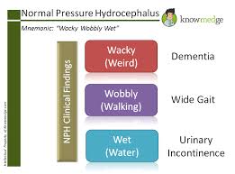 Image result for Normal Pressure Hydrocephalus