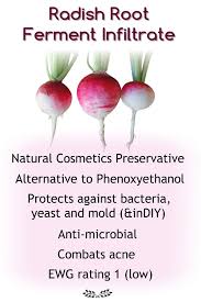 Natural Plant Based Skincare Preservative Plant Based Skincare Skin Care Fermentation