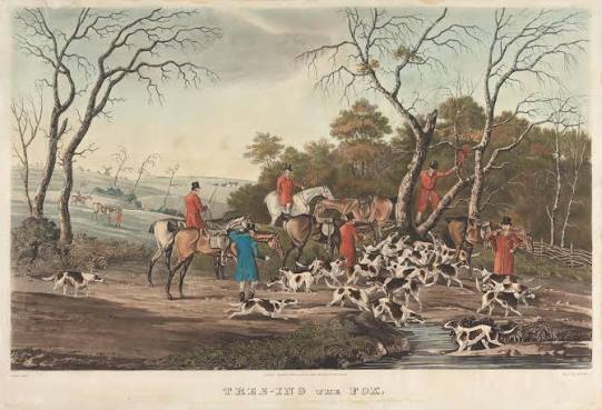 File:Thomas Sutherland - (Fox-hunting) Tree-ing the Fox - B1985.36.51 - Yale Center for British Art.jpg - Wikimedia Commons