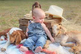 Support Local Farms 6 Month Baby Picture Ideas Boy 6 Month Baby Picture Ideas Baby Photoshoot Boy