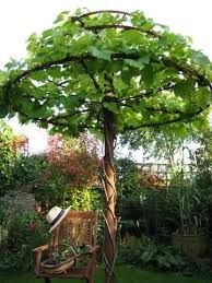 Top 32 Diy Fun Landscaping Ideas For Your Dream Backyard Garten Garten Ideen Garten Pflanzen