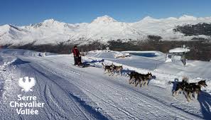 Vivez la sensation unique d'une excursion en traîneau à chiens accompagné de mushers professionnels à seulement une heure de genève! Allirand Jordi