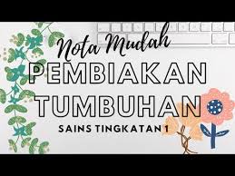 Sains tingkatan 1 bab 4. Buku Teks Sains Tingkatan 1 Bab 4 Pembiakan Tumbuhan Sains Mania