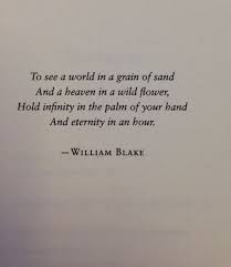 Hold Infinity In The Palm Of Your Hand And Eternity In An Hour Words Quotes Literary Quotes Literature Quotes