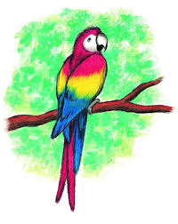 The first shape is a small circle for the parrot's head, and the second is an eye shape because it looks like a human eye. Example Of Blending Drawing Technique Parrot Drawing Drawing Cartoon Characters Parrots Art