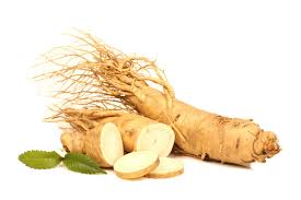 Image result for Ginseng