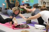 Cat yoga: The mewest exercise trend | CNN