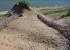 Indiana Dunes Beach Hotels