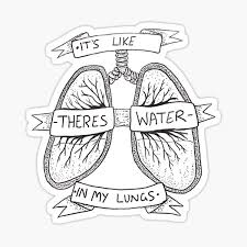 We did not find results for: Sticker The Amity Affliction Redbubble