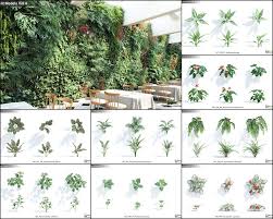 Free 3d Model Tree 3dsmax Part1 Model Tree Sketchup Model Backyard Garden Design