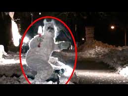 10 transparent png images related to abominable snowman. 5 Abominable Snowman Caught On Camera Spotted In Real Life Video Dailymotion