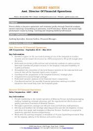 Job description basic position information. Director Of Financial Operations Resume Samples Qwikresume