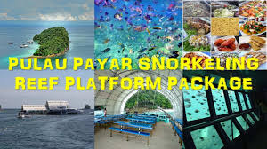 Pulau payar is just one hour away by ferry from langkawi and for those who do not dive or snorkel, marvel at the spectacular sights below the. Pulau Payar Snorkeling Reef Platform Pulau Langkawi Tour Travel