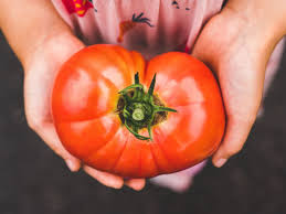 4 Techniques Pour Congeler Des Tomates Fraiches En 2020 Congeler Tomates Tomates Conservation Tomates