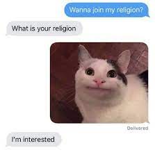 The best gifs of politeness on the gifer website. Polite Cat Memes Home Facebook