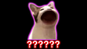 We did not find results for: 21 Pop Cat Sound Variations In 60 Seconds Youtube