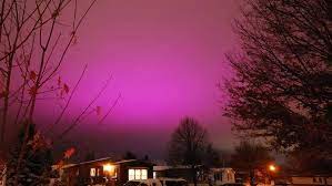 Night sky is an early flower petunia variety that doesn't require long days to flower. Alien Invasion Not So Much Purple Sky Came From Greenhouse Lights Wzzm13 Com