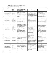 Human Evolution Flow Chart Ar100 Aa Great Discoveries In