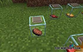 Jar file) into the mods folder. Jars And Plates Addon For Minecraft Pe 1 16