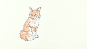 Even though this lesson may look complicated for yo. 3 Ways To Draw A Fox Wikihow