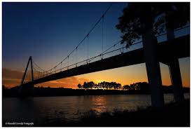 Contact +3176 541 06 00 info@cugla.nl rudonk 11 4824 aj breda. Reportage Bouw Dafne Schippersbrug Leidsche Rijn In Beeld
