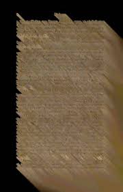 Image result for Dolichos linearifolius